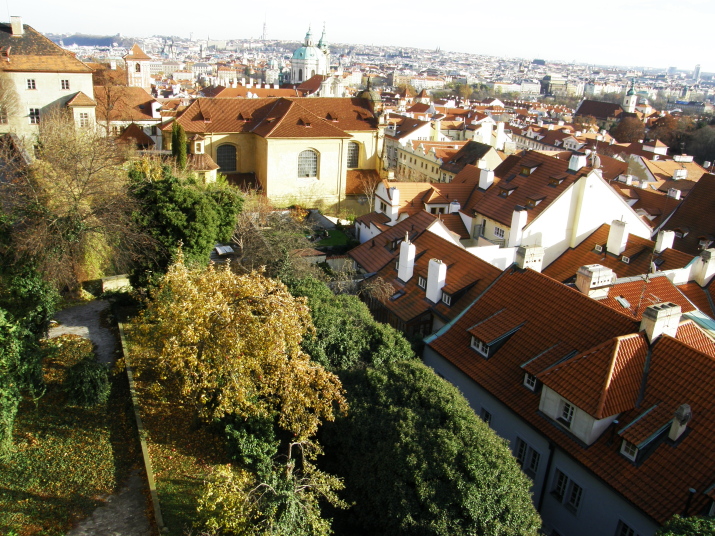 PB190067.jpg