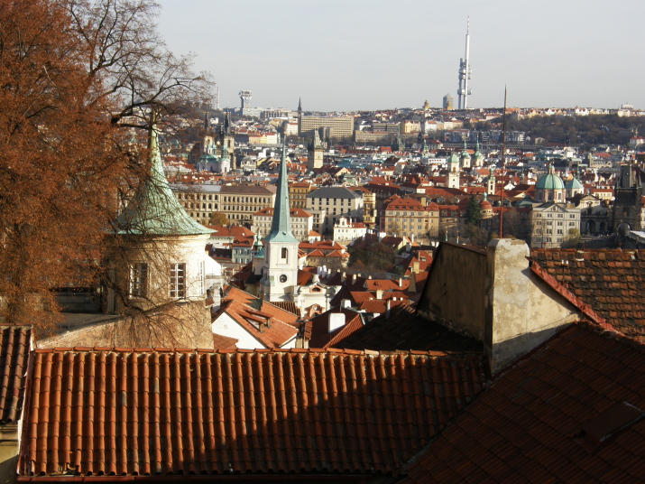 PB190074.jpg
